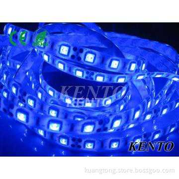 Outside decoration Led Strip Lights Blue SMD3528,60pcs/meter